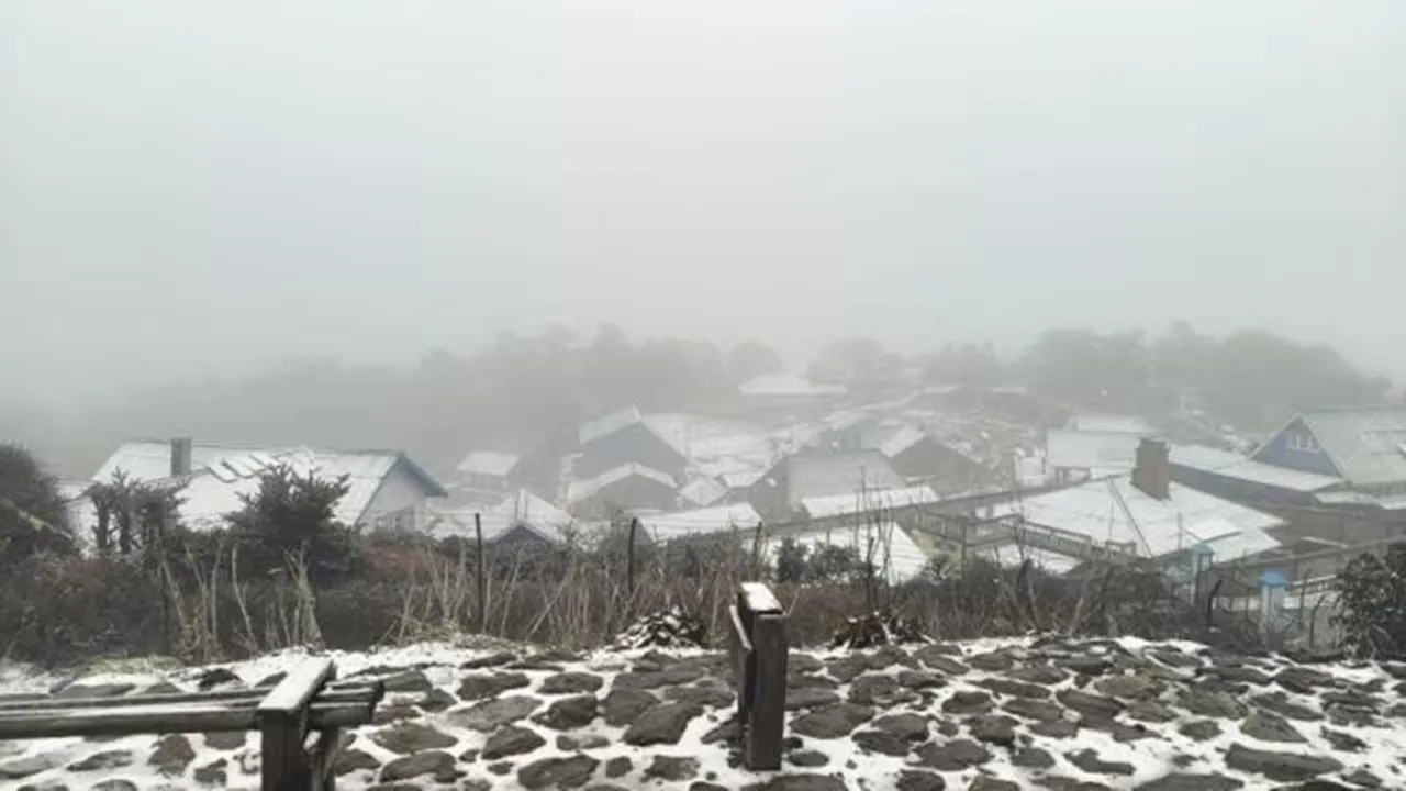 First snowfall of the season at Sandakphu in Darjeeling: সান্দাকফুতে তুষারপাত
