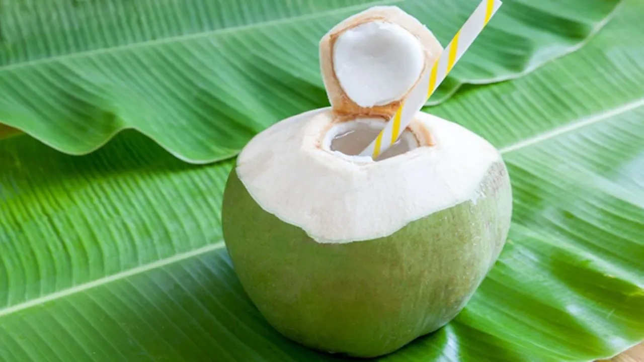 Coconut Water for weight loss: আপনি কি জানেন যে ডাবের জল খেলে আপনিও ওজন কমাতে পারেন?