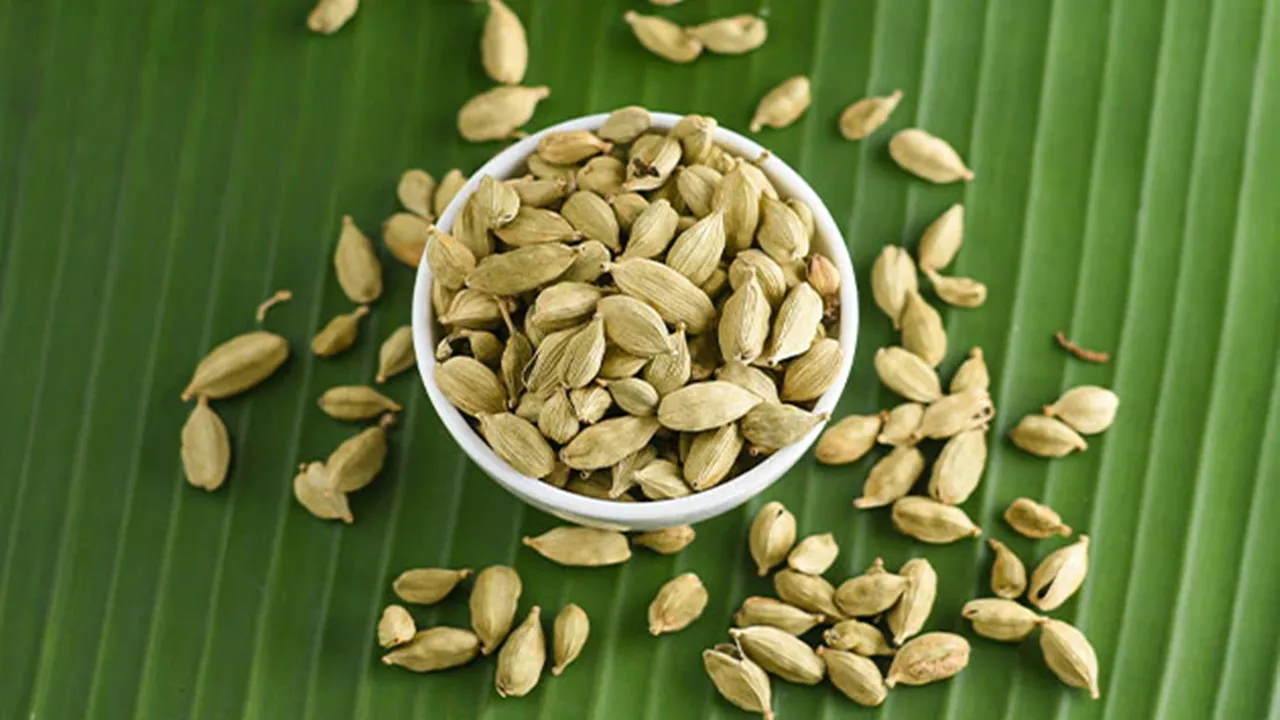 Benefits of Cardamom: খাবার খাওয়ার পর এলাচ খাওয়ার অনেক উপকারিতা রয়েছে