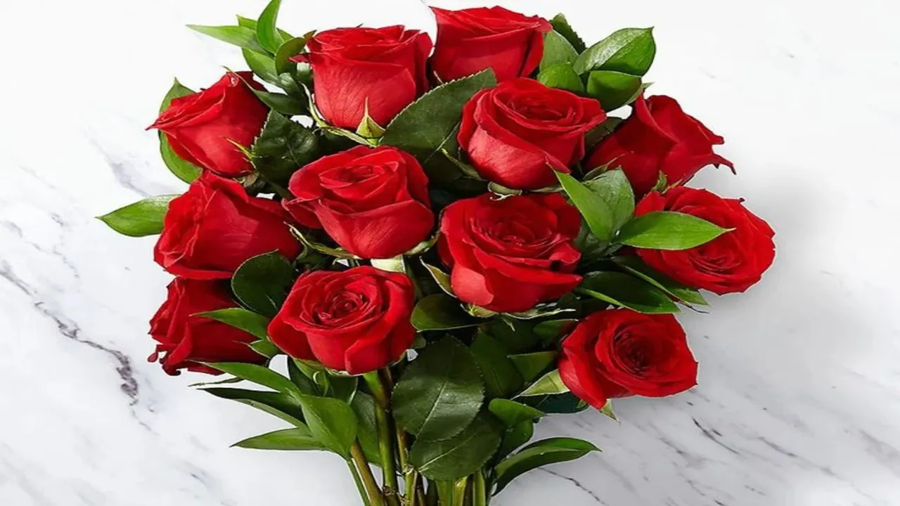 Happy Rose Day 2025