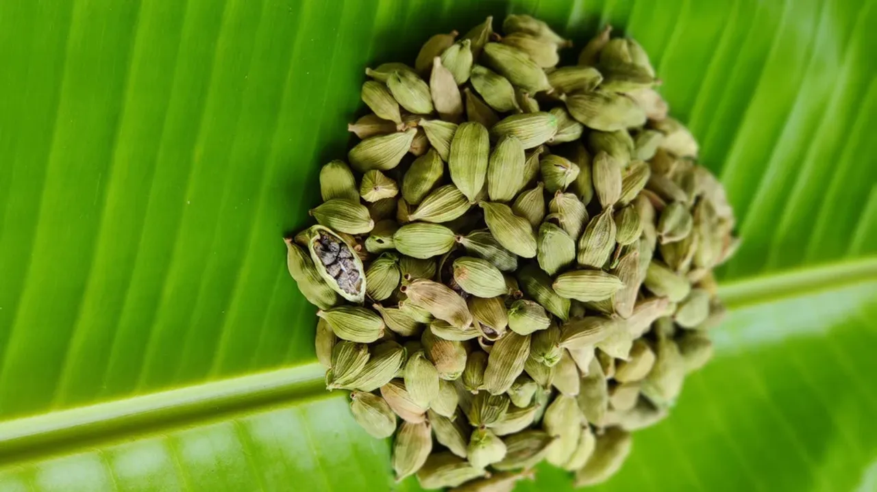 Benefits of Cardamom: খাবার খাওয়ার পর এলাচ খাওয়ার অনেক উপকারিতা রয়েছে