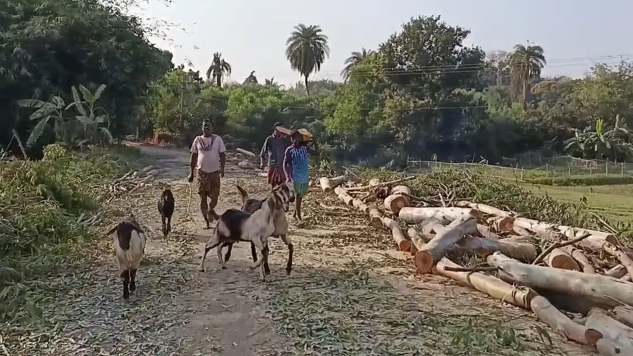 aushgram panchayat
