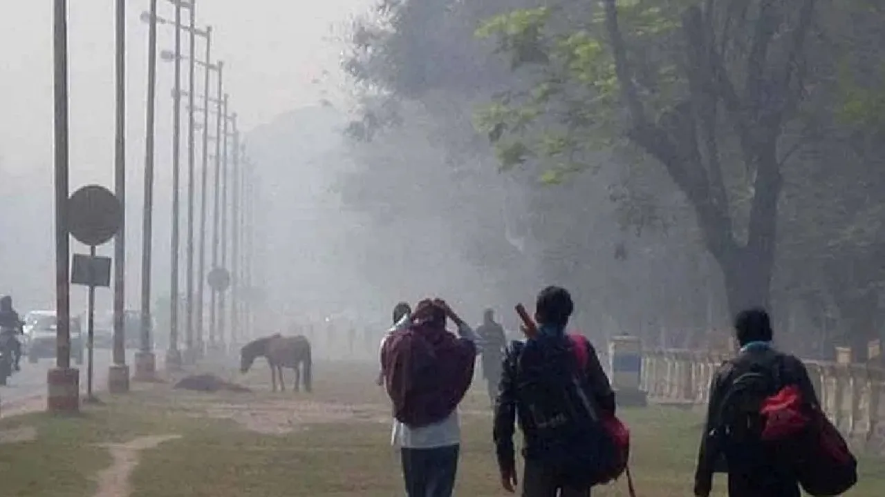 weather update, Weather forecast, আবহাওয়ার পূর্বাভাস