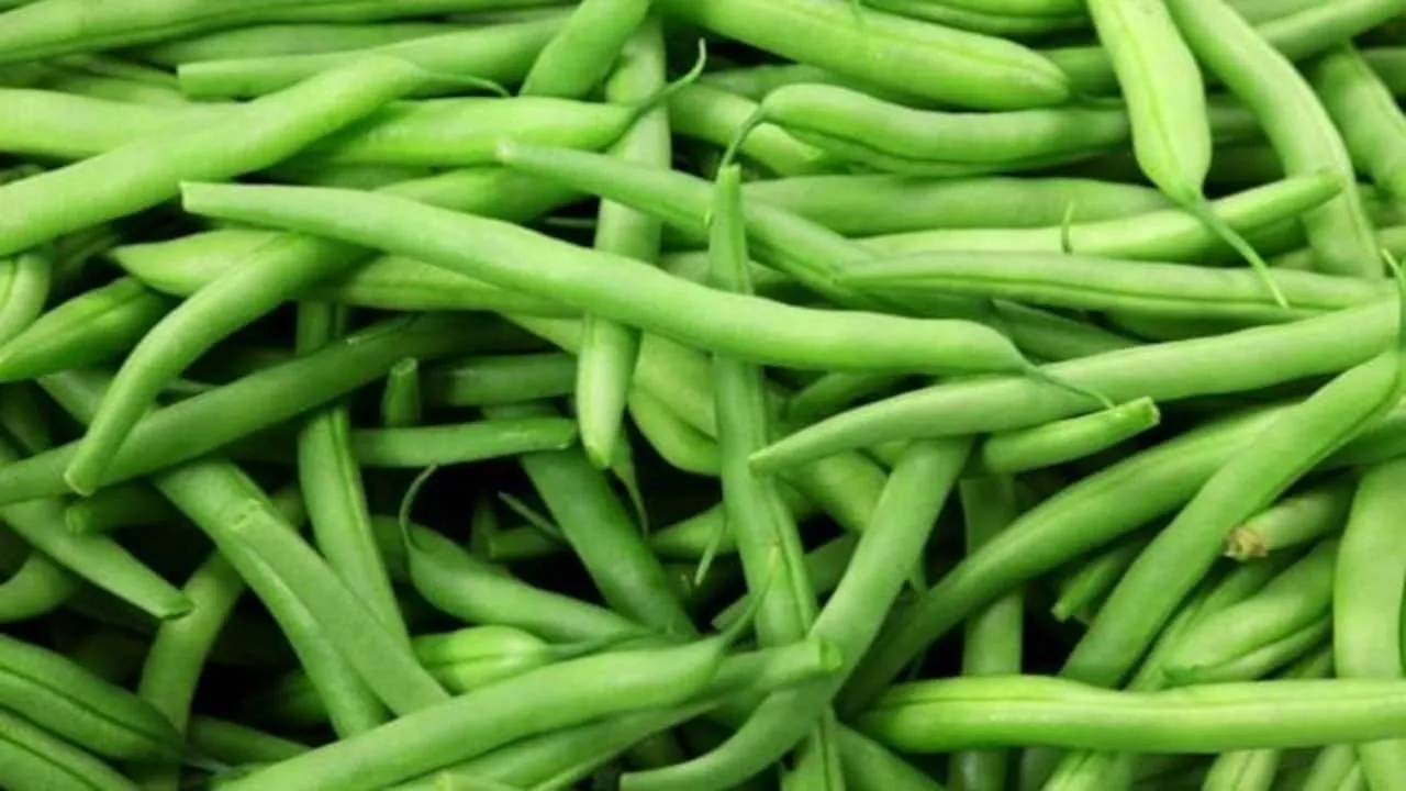 Green Beans Benefits: বিনস একটি পুষ্টিকর সবজি