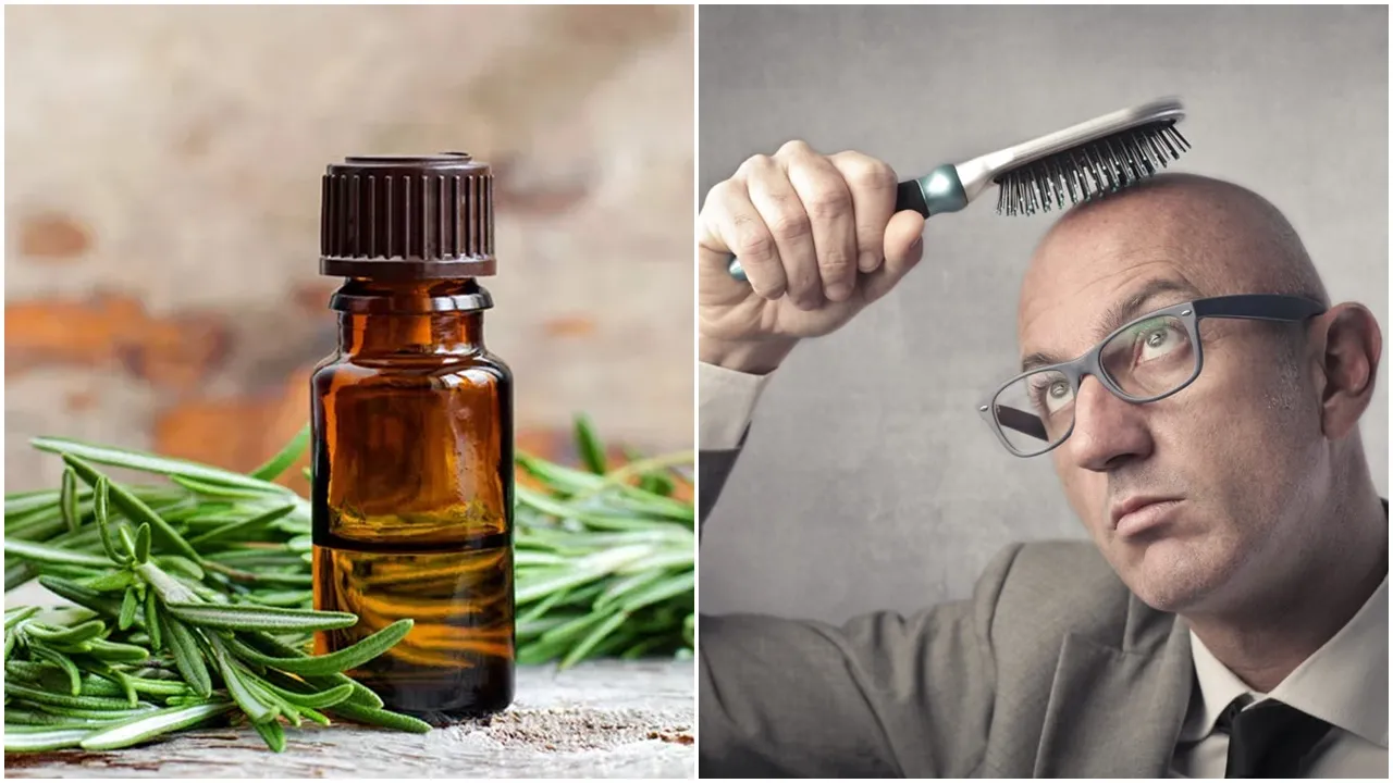 Rosemary Oil for hair growth: রোজমেরি তেল চুলের বৃদ্ধি বাড়াতে দুর্দান্ত একটি প্রাকৃতিক উপায়