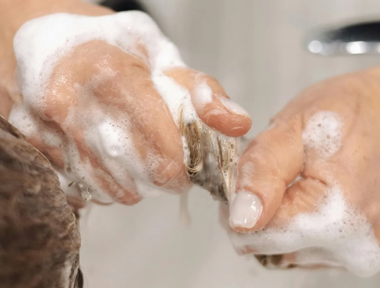 History of Shampoo: শ্যাম্পুর আবিষ্কার হয়েছিল ভারতেই, সুবে বাংলারই এক ব্যবসায়ী ইউরোপে শ্যাম্পু নিয়ে যান