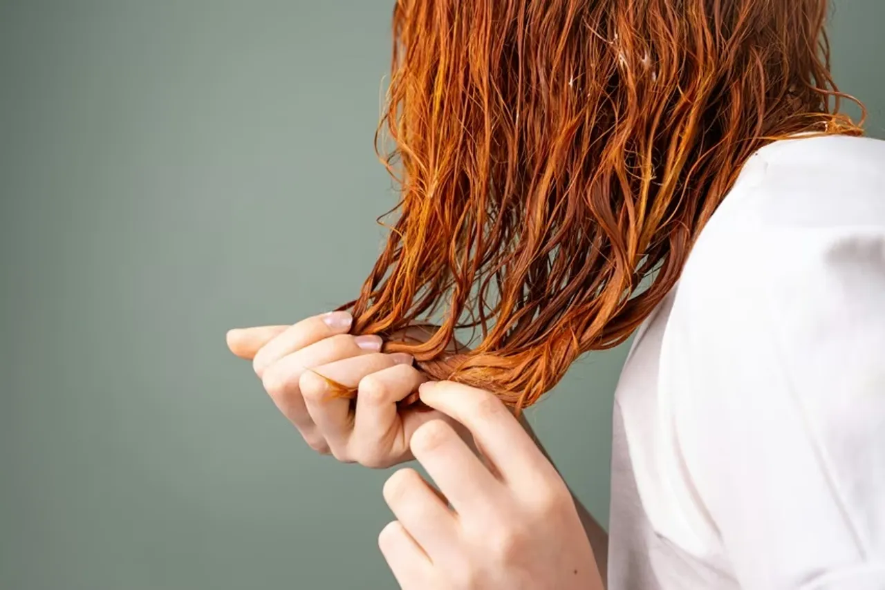 History of Shampoo: শ্যাম্পুর আবিষ্কার হয়েছিল ভারতেই, সুবে বাংলারই এক ব্যবসায়ী ইউরোপে শ্যাম্পু নিয়ে যান