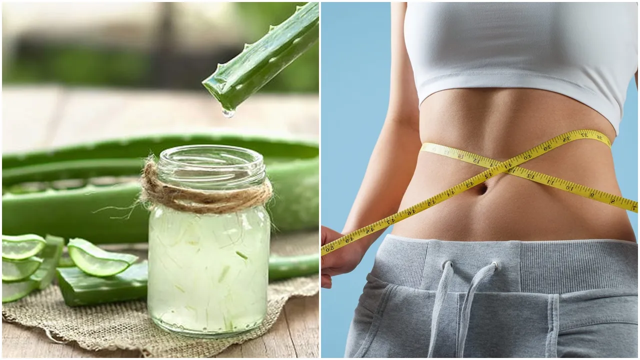 Aloe Vera Juice for weight loss: ওজন কমাতে প্রতিদিন সকালে খালি পেটে এক গ্লাস তাজা অ্যালোভেরার জুস খান