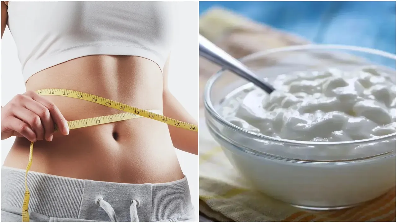 Curd Recipes for weight loss: দই দ্রুত ওজন কমাতে সাহায্য করে
