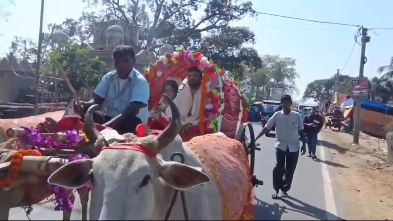 wedding in a bullock cart,Purba Bardhaman News,গরুর গাড়িতে চেপে বিয়ে,পূর্ভ বর্ধমানের খবর