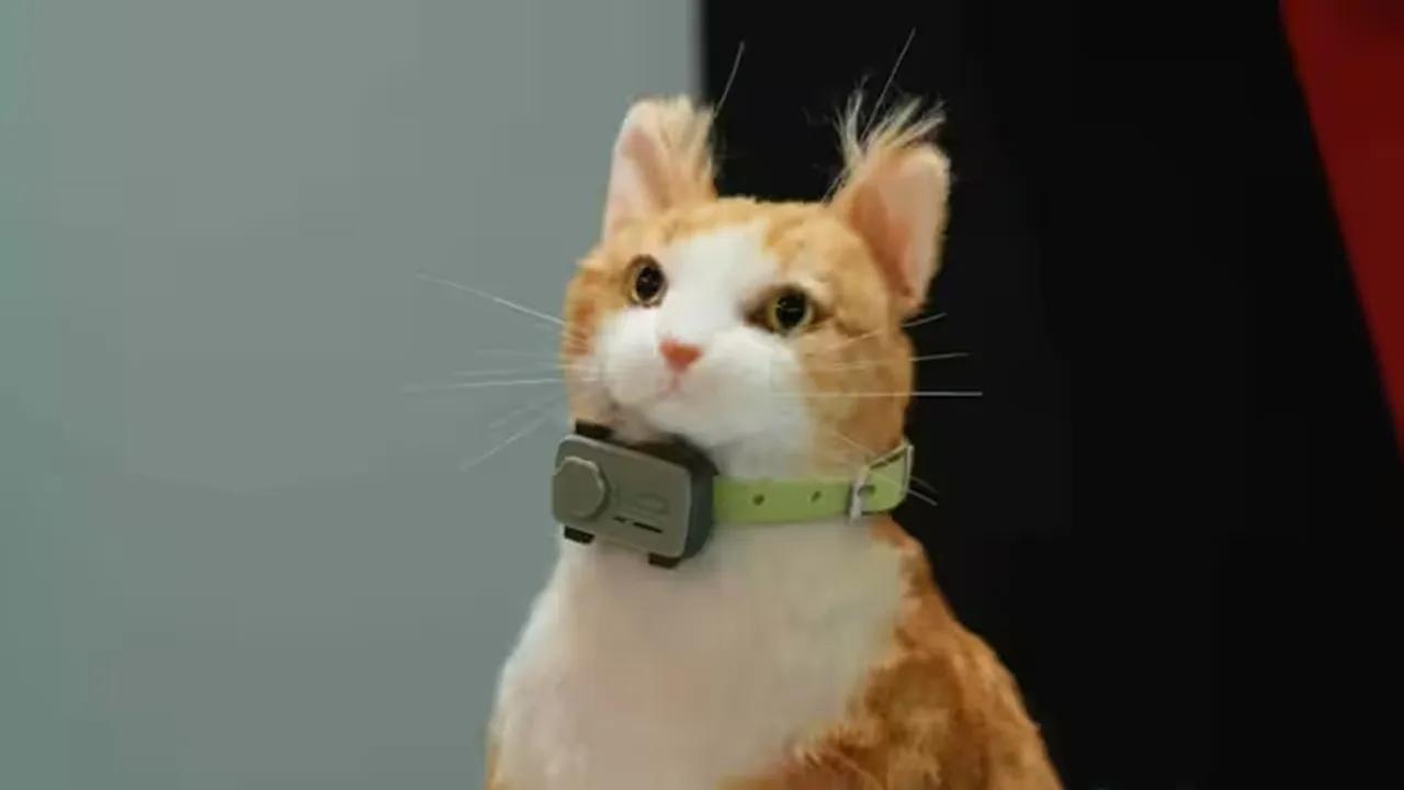 MWC 2025