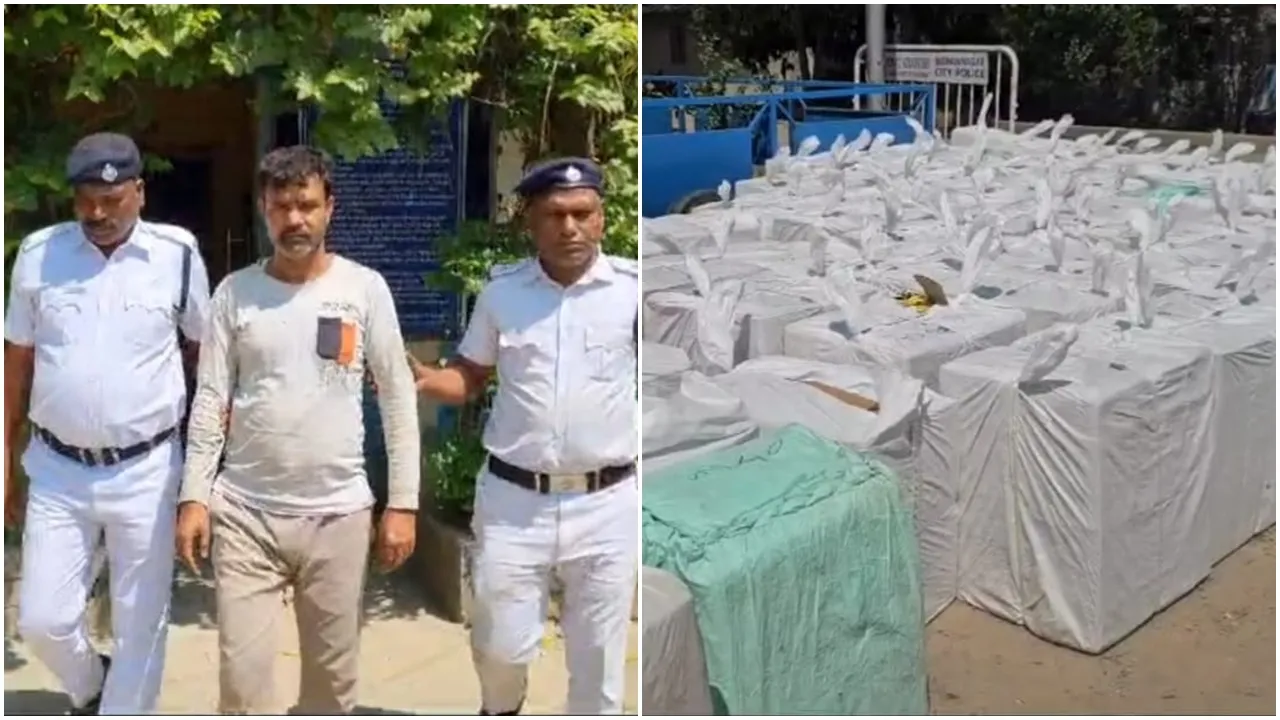 Huge quantity of banned fireworks seized near Kolkata airport 1 arrested: কলকাতা বিমানবন্দরের কাছে বিপুল পরিমাণ নিষিদ্ধ শব্দবাজি বাজেয়াপ্ত