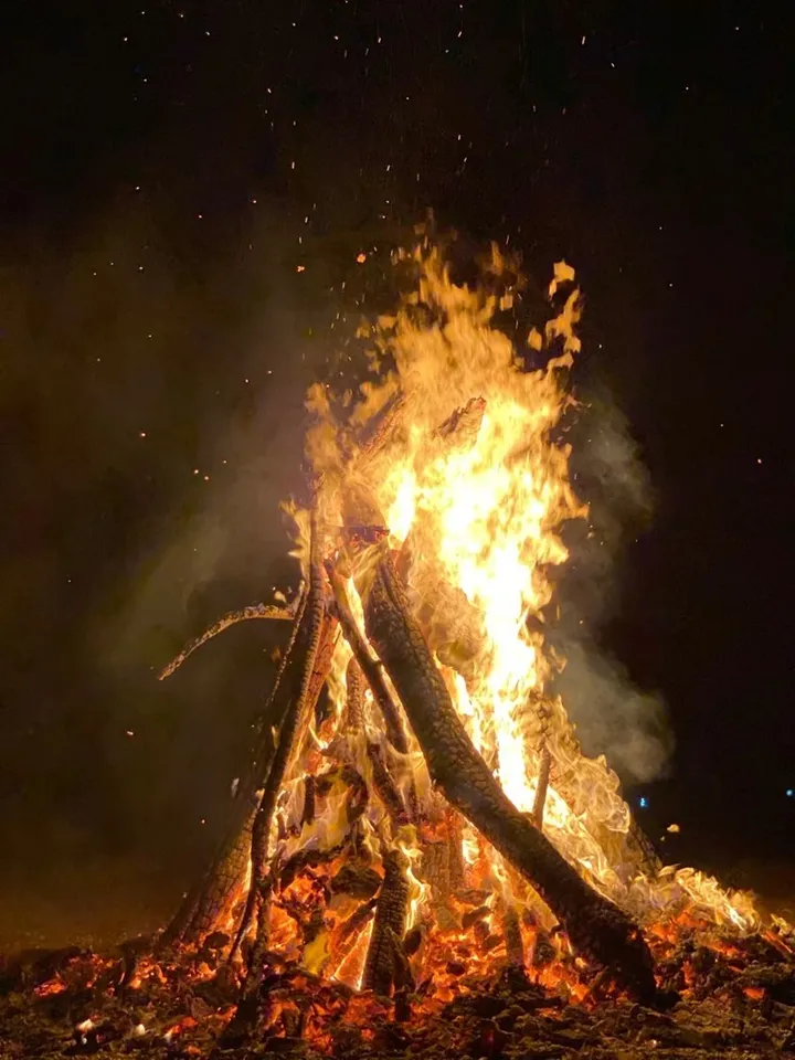 Holika Dahan: হোলিকা দহনের ঐতিহ্য বহুযুগ ধরে চলে আসছে, যাতে কাঠের সঙ্গে গোবরের ঘুঁটেও পোড়ানো হয়