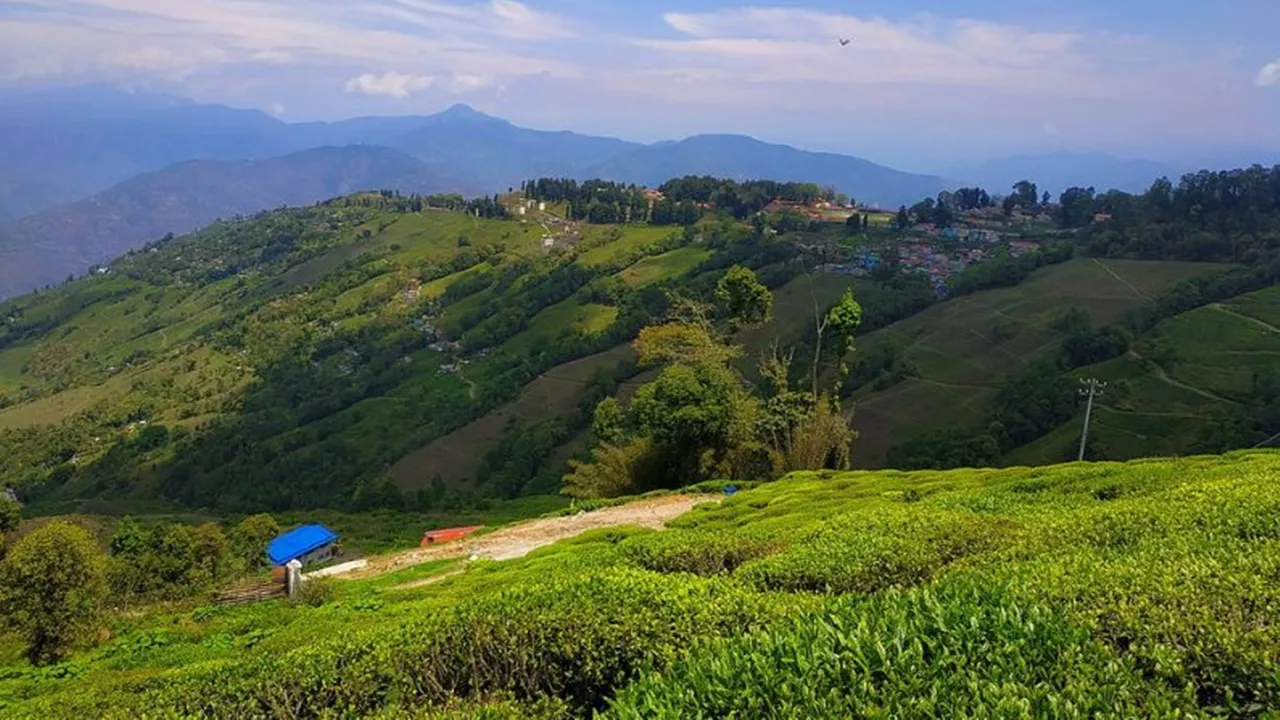 Best Places to Visit Bengal in March:মার্চে পশ্চিমবঙ্গে বেড়ানোর সেরা জায়গা