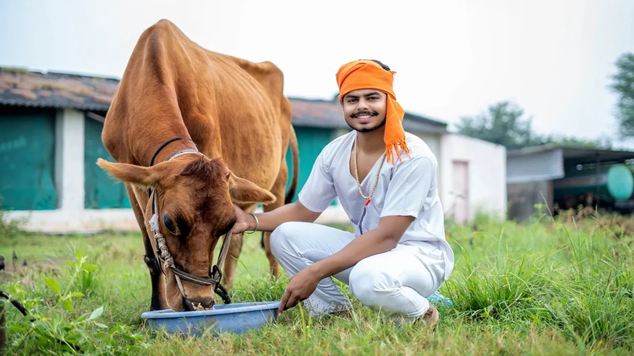 Maharashtra govt declares cow as 'Rajya Mata'