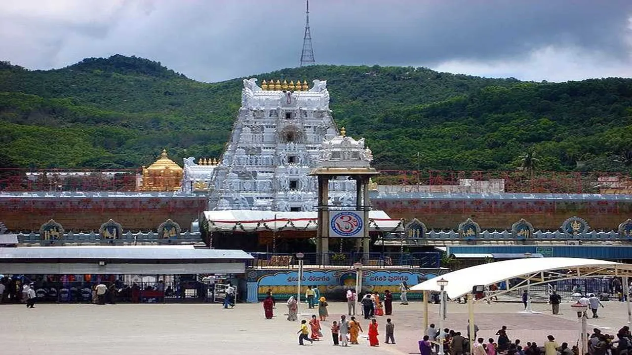 vanimal fat in Tirupati laddu