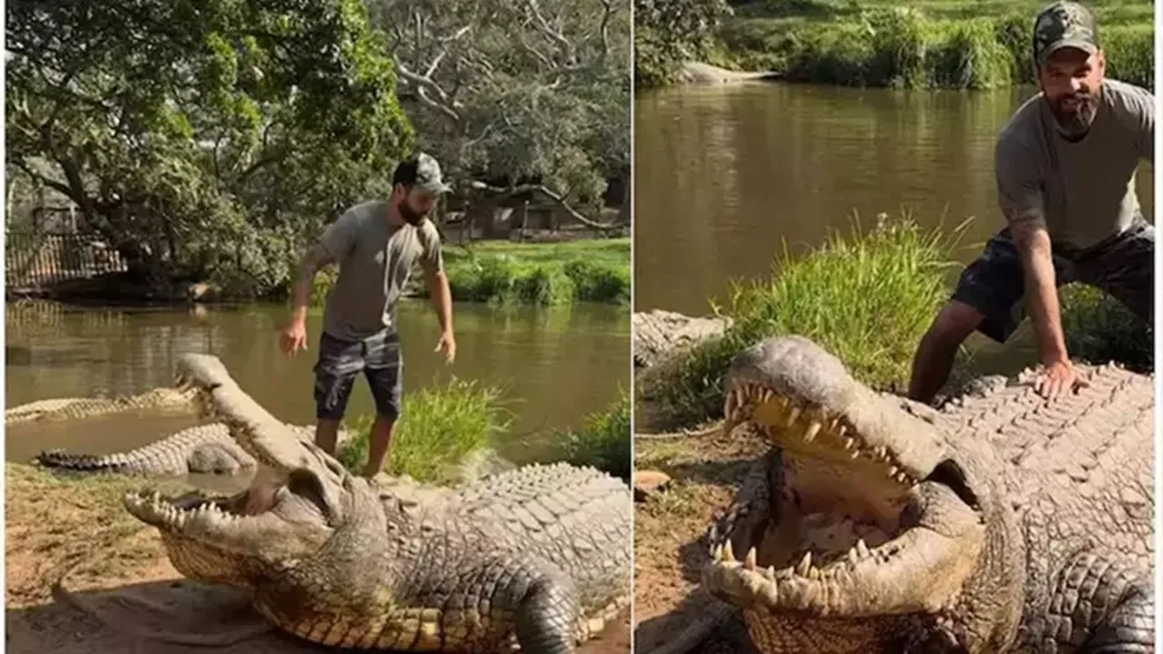 দৈত্যাকার কুমিরের দানবীয় গর্জন! 