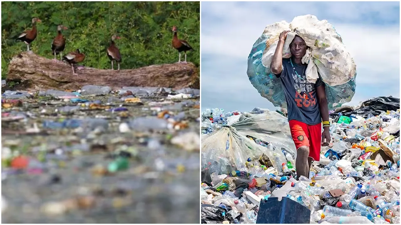 Plastics, pollution, প্লাস্টিক, পলিউশন,