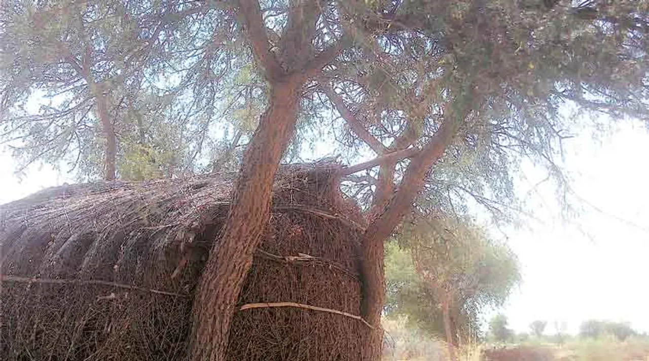 rajasthan, barmer, dalit girls death