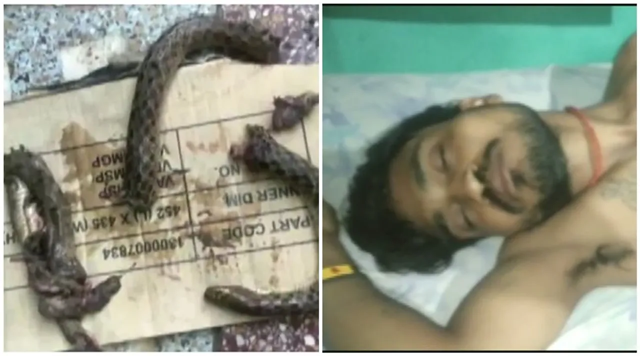 uttar pradesh man bites snake