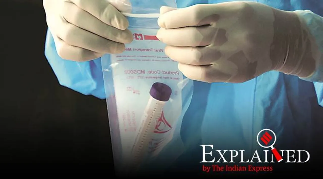 Coronavirus Number Explained