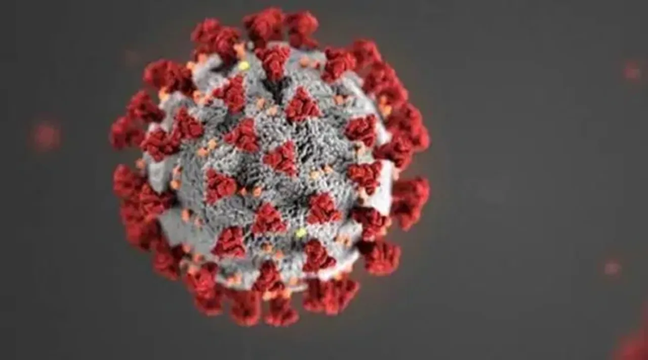 coronavirus, করোনাভাইরাস