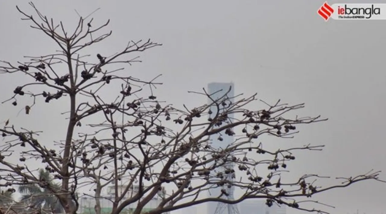 weather update, আবহাওয়ার খবর