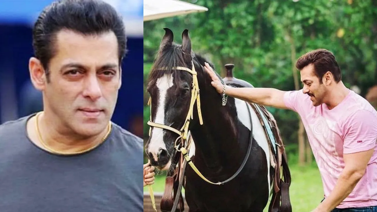 salman
