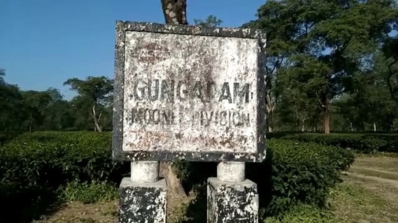 leopard died after being crushed by the wheel of car in Naxalbari