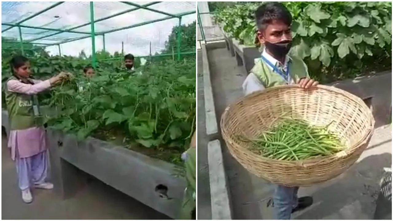 Durgapur nepali para hindi high school makes roof top garden