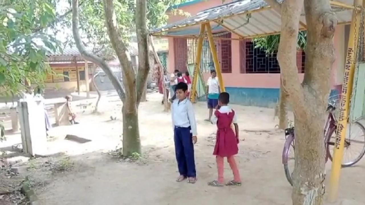 School