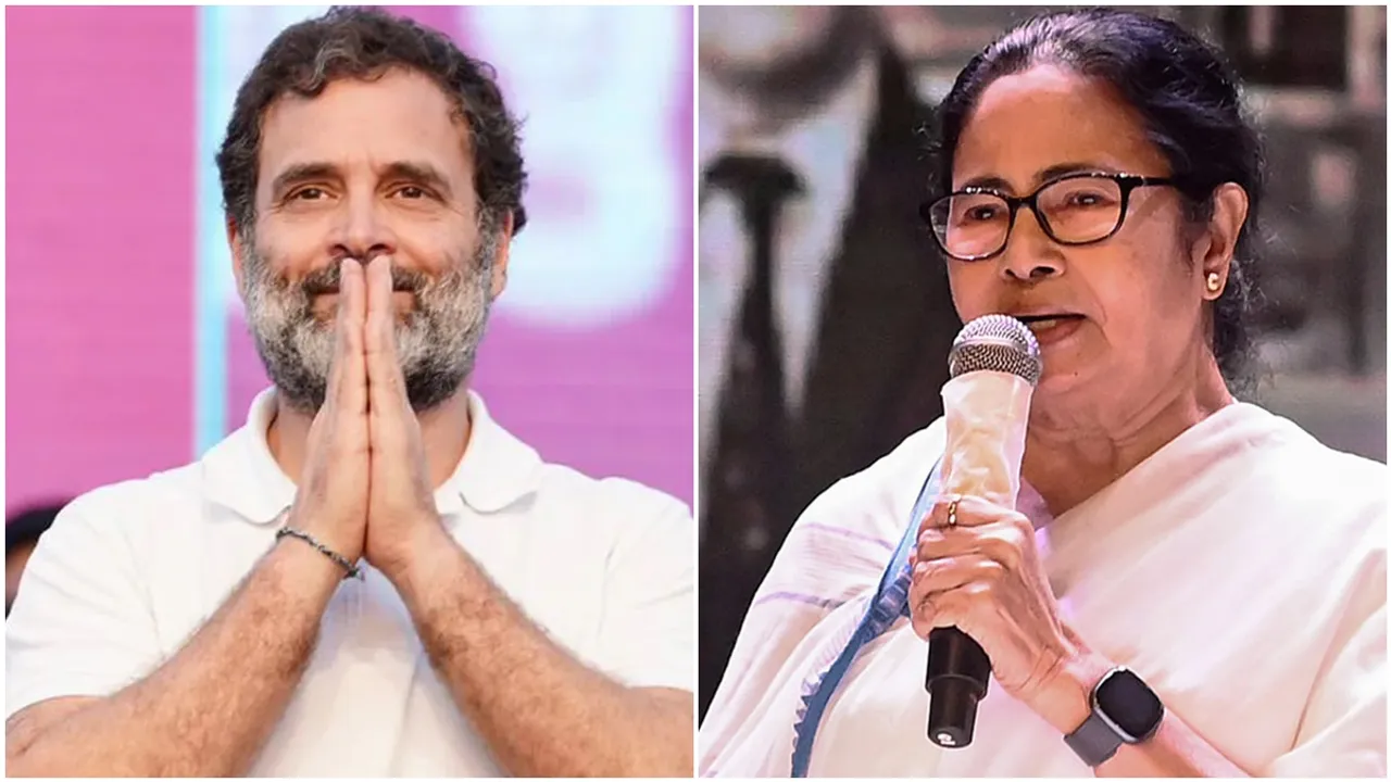 mamata banerjee spoke about rahul gandhis mp post : স্বস্তিতে রাহুল গান্ধী, 'খুশি' মমতা বন্দ্যোপাধ্যায়, আরও পোক্ত 'ইন্ডিয়া'