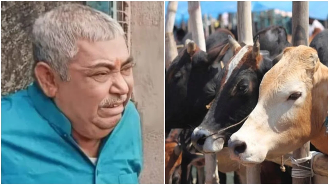 manish kothari gets bail in delhi high court in cow smuggling case , গরু পাচার মামলায় প্রথম জামিন পেলেন অনুব্রত মণ্ডলের হিসাবরক্ষক মণীশ কোঠারি