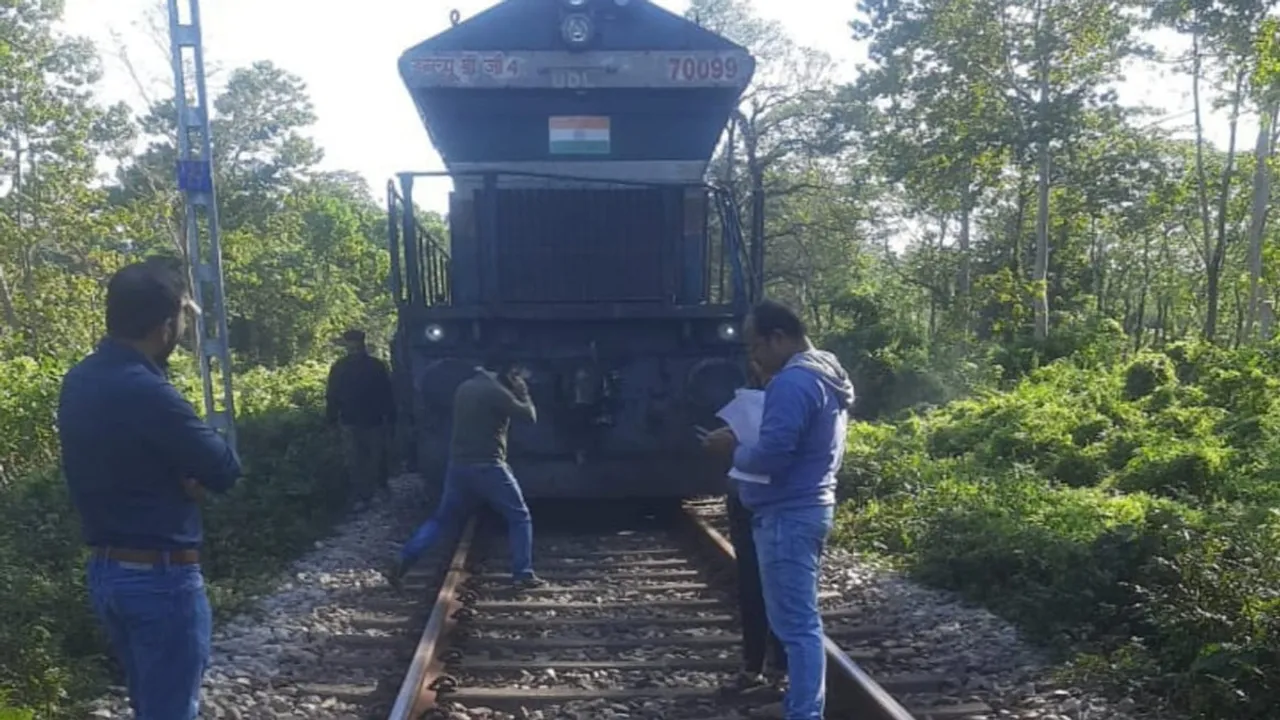 3 elephant are died in qualition by train at north bengal