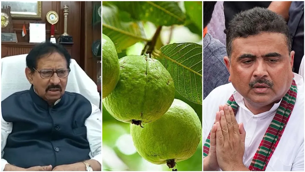 BJP MLAs including Suvendu Adhikari reject Baruipur guavas offer from Assembly Speaker Biman Banerjee , বিধানসভার অধ্যক্ষের দেওয়া বারুইপুরের পেয়েরা প্রত্যাখ্যান করলেন শুভেন্দু সহ বিজেপি বিধায়করা