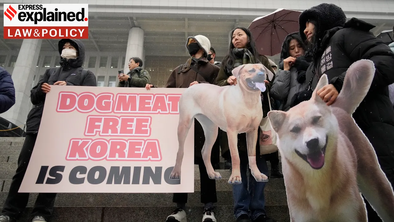 South Korea। dog meat ban