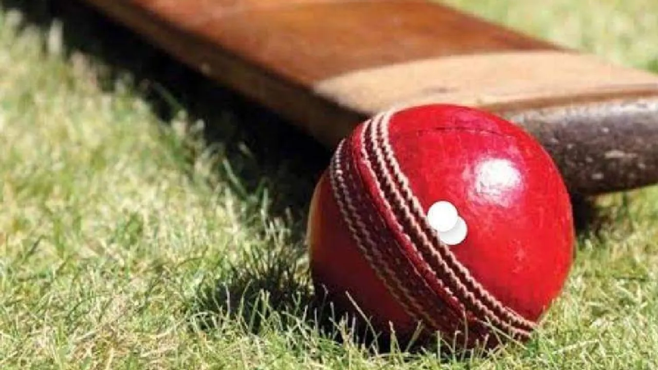 Bat and ball, cricket, representational image