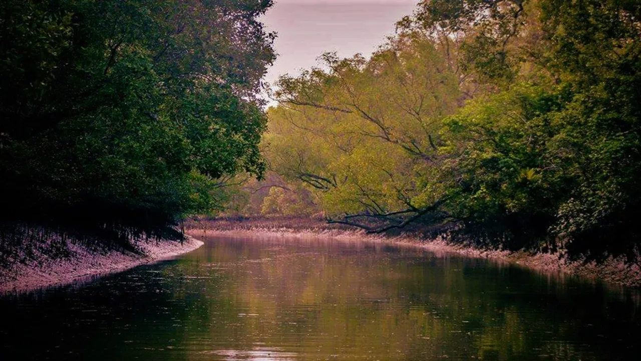 forest worker killed by poachers in Sundarbans