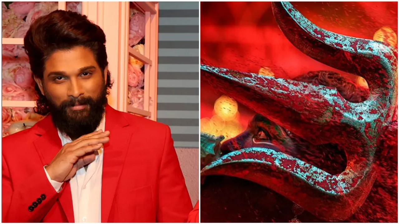 allu arjun allu arjun news, allu arjun puspa 2, puspa 2 teaser, pushpa teaser coming soon, david warner, david warner news, david warner in pushpa 2, david warner dhallywood