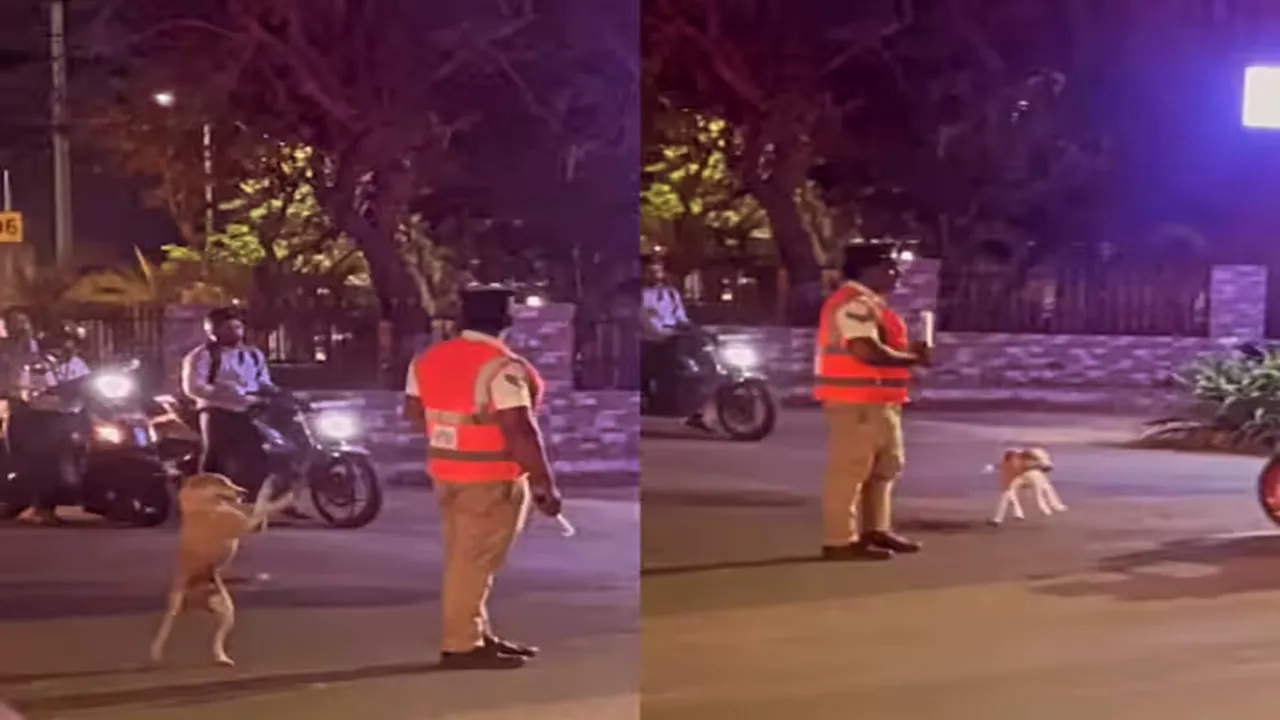 Doggy Ka Video,Viral Video,Trending Video,Google Trends,Traffic Police Video