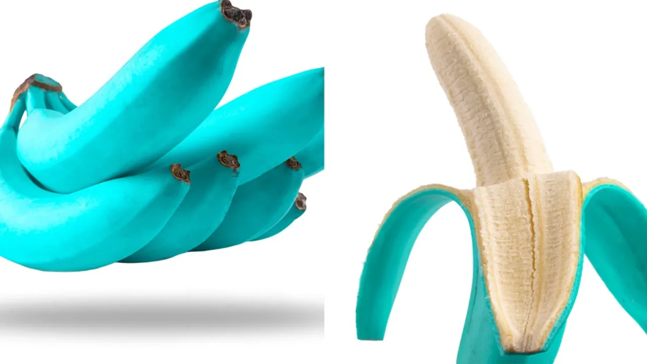 Java blue banana,blue banana benefits,Health,lifestyle,Food,health benefits of blue banana,benefits of eating blue banana,blue banana taste like ice cream