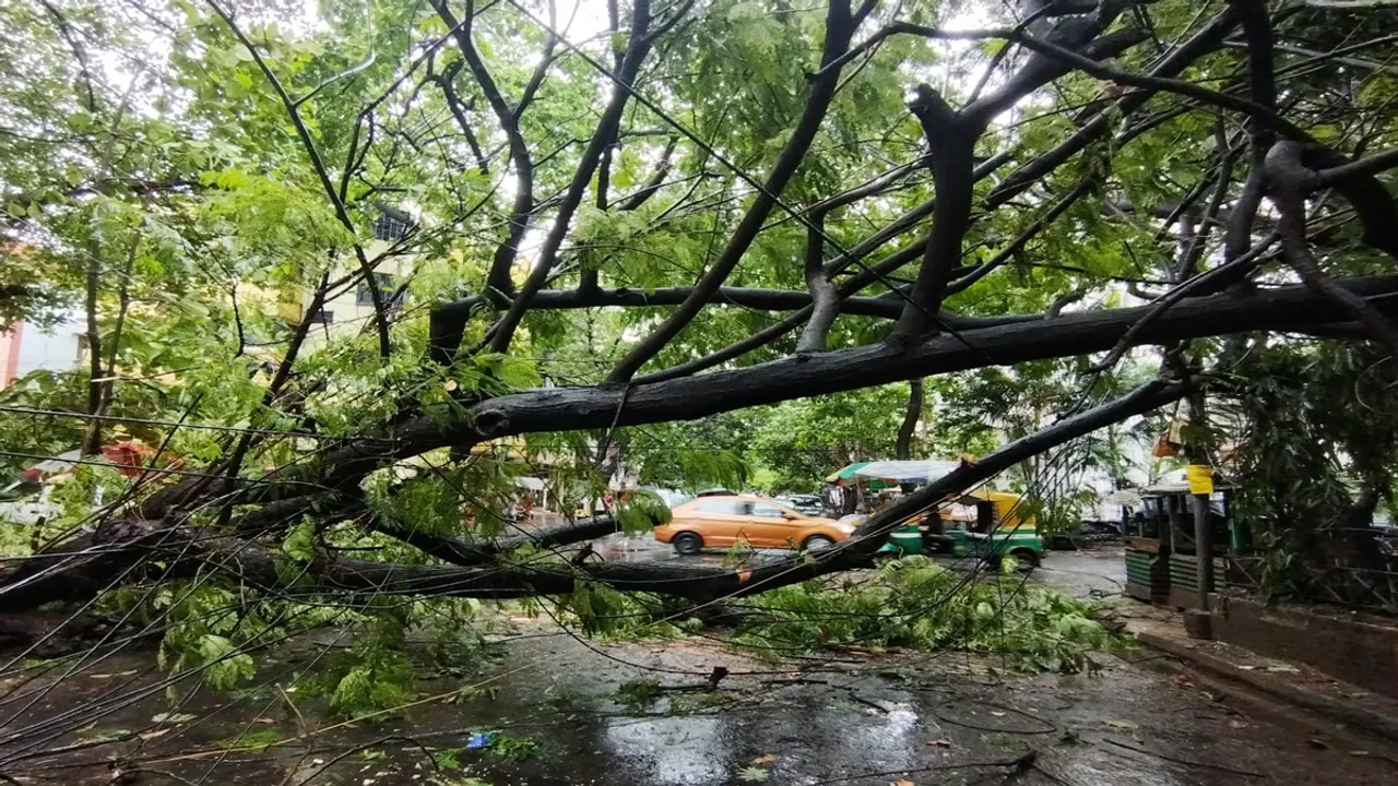 Cyclone Remal Live: ঘূর্ণিঝড় রেমালের প্রতি মুহূর্তের আপডেট জানুন