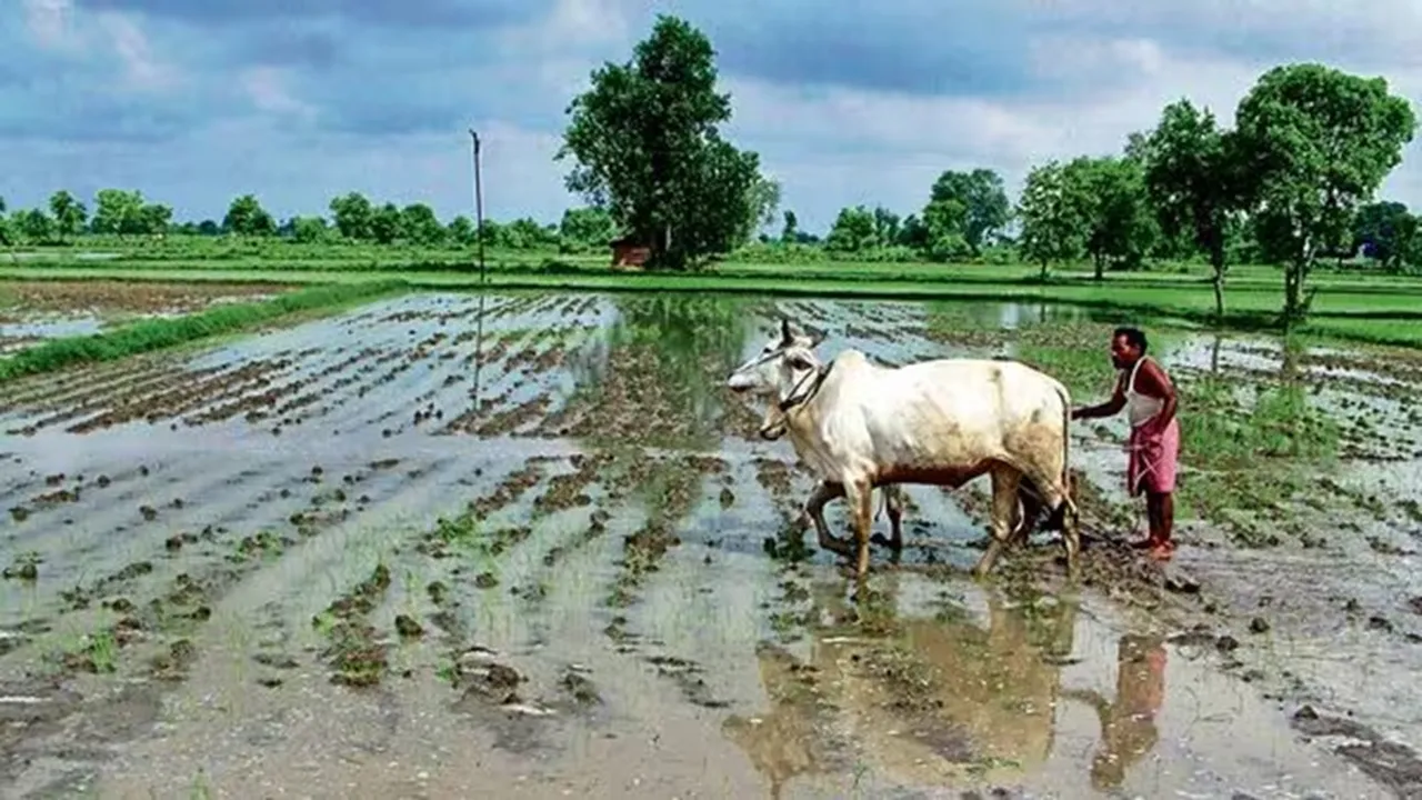 budget 2024, budget allocation, Rashtriya Krishi Vikas Yojana, budget outlay, nda, farmers, farmer incomes, assembly elections, rkvy, rkvy-raftaar, agriculture ministry, department of agriculture and cooperation, farmer welfare, ministry of finance, indian council of agricultural research