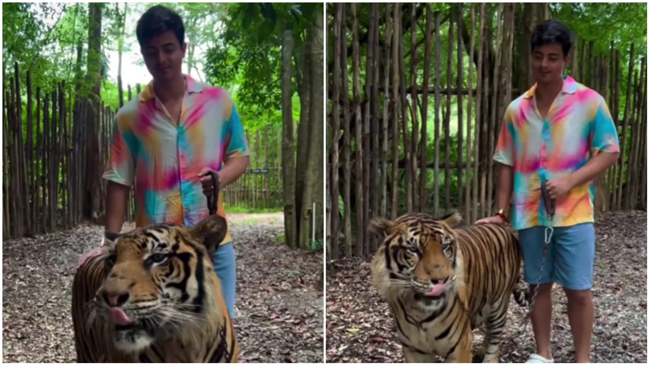 Actor dibyajyoti Dutta asked tiger to watch serial anurager chowa