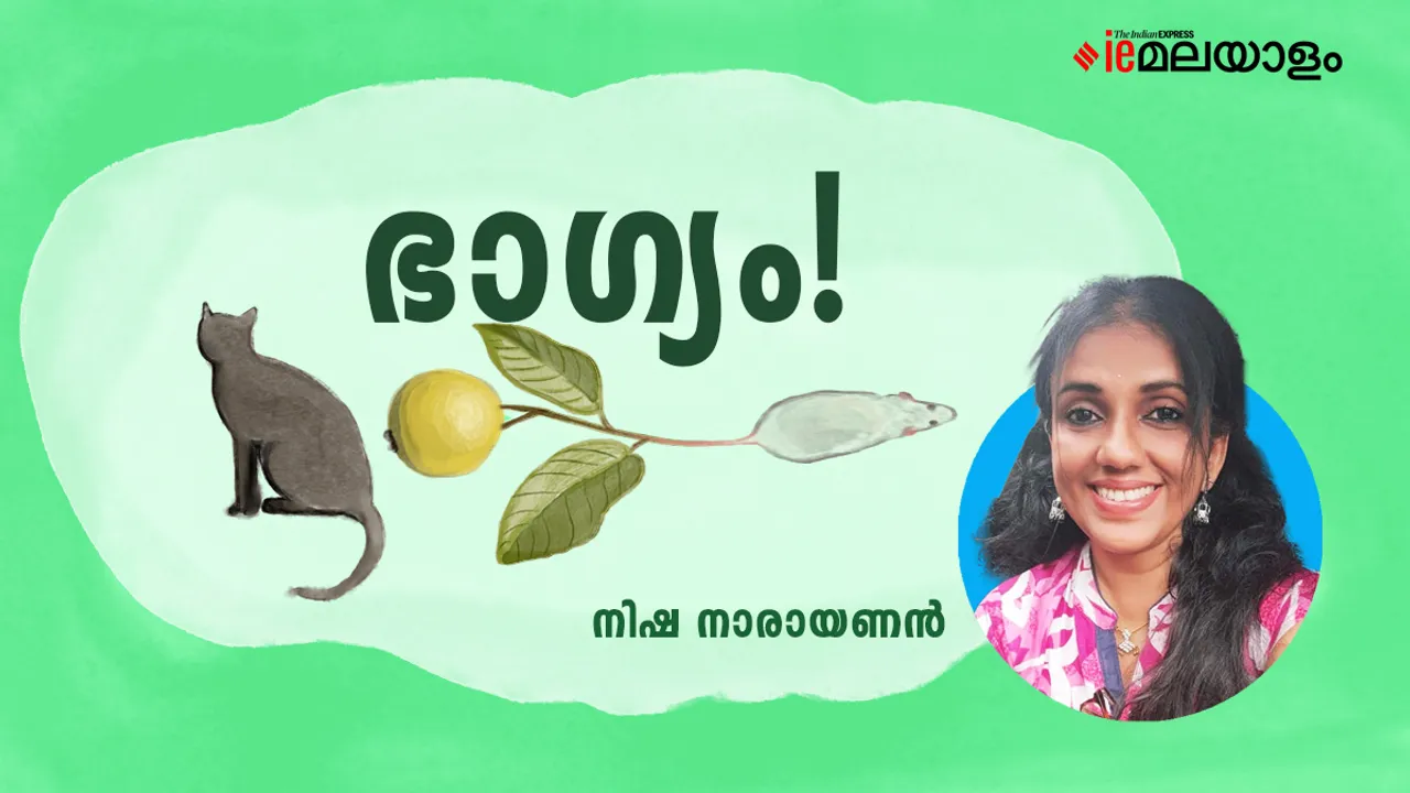 Nisha Narayanan Poem