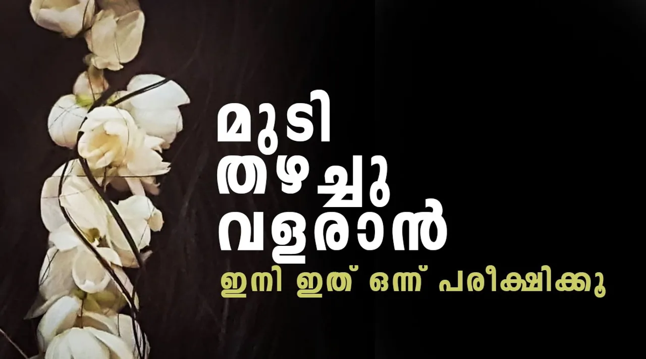 മുടി തഴച്ചു വളരാൻ സീഡ്സ് ലഡ്ഡു