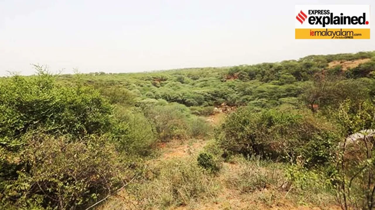 എന്താണ് ബഫർ സോൺ?ബാധിക്കുന്നത് ആരെയൊക്കെ