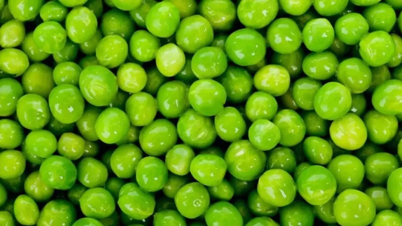 രക്തത്തിലെ പഞ്ചസാരയും പ്രമേഹവും നിയന്ത്രിക്കാൻ സഹായിക്കും, ദഹനം