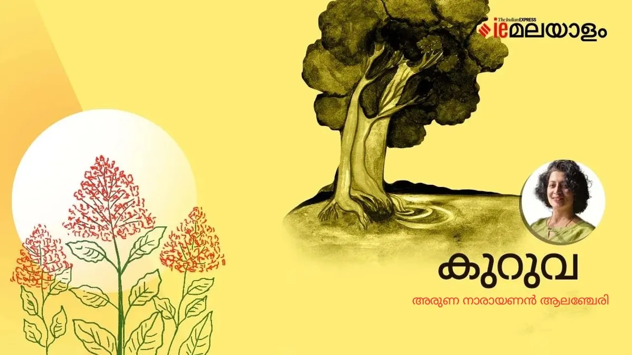 aruna narayanan | poem | iemalayalam