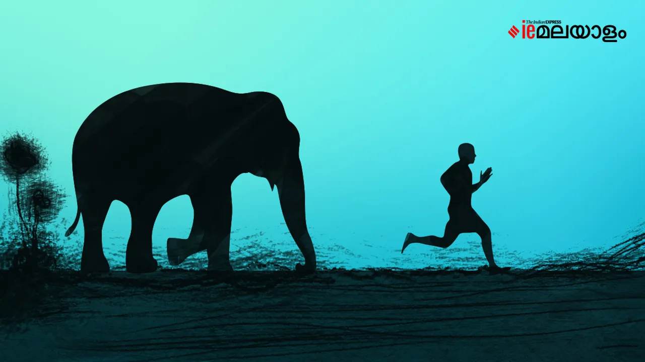 മനുഷ്യ- വന്യജീവി സംഘര്‍ഷം; പ്രത്യേക ദുരന്തമായി പ്രഖ്യാപിച്ച് കേരളം